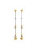 Long Earrings